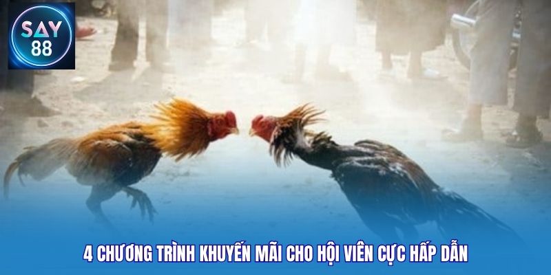 4 chương trình khuyến mãi cho hội viên cực hấp dẫn