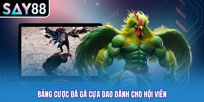 Bảng cược đá gà cựa dao dành cho hội viên