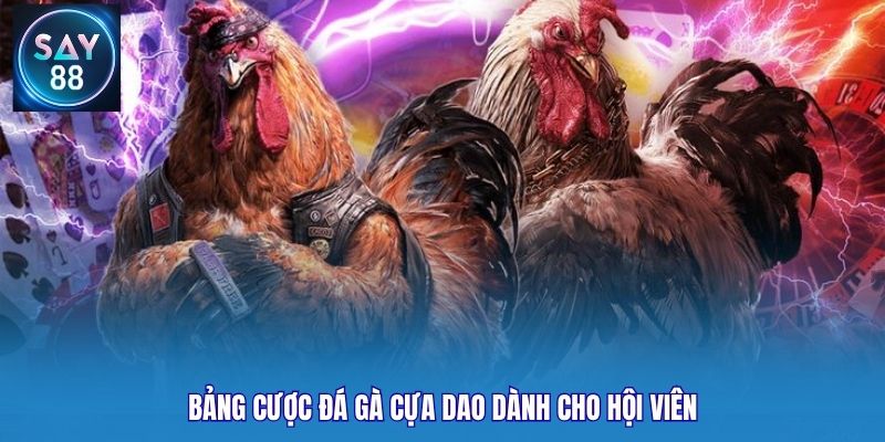 Bảng cược đá gà cựa dao dành cho hội viên