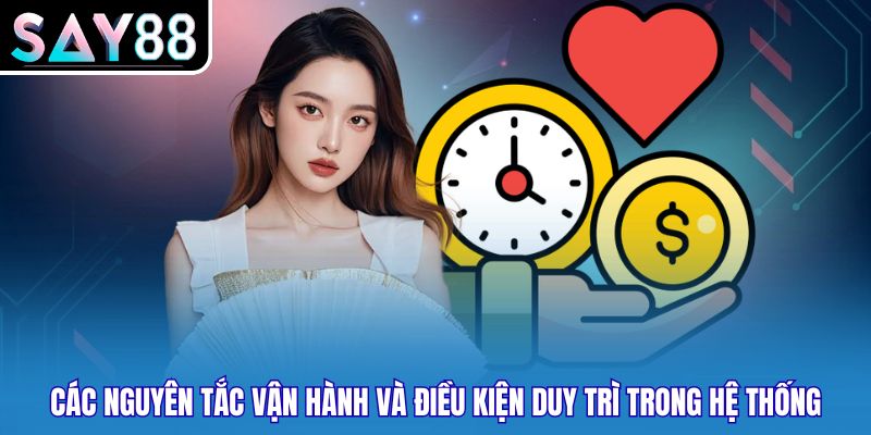 Các nguyên tắc vận hành và điều kiện duy trì trong hệ thống