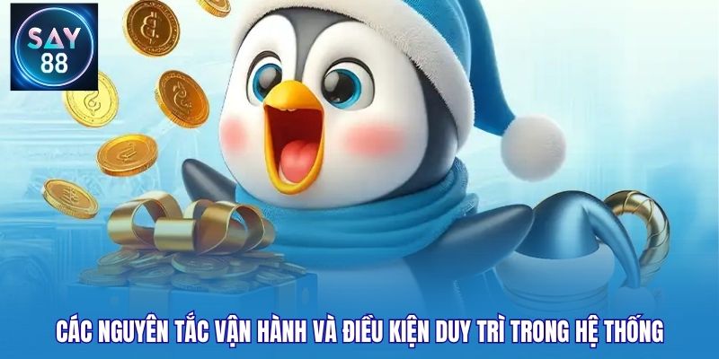 Các nguyên tắc vận hành và điều kiện duy trì trong hệ thống