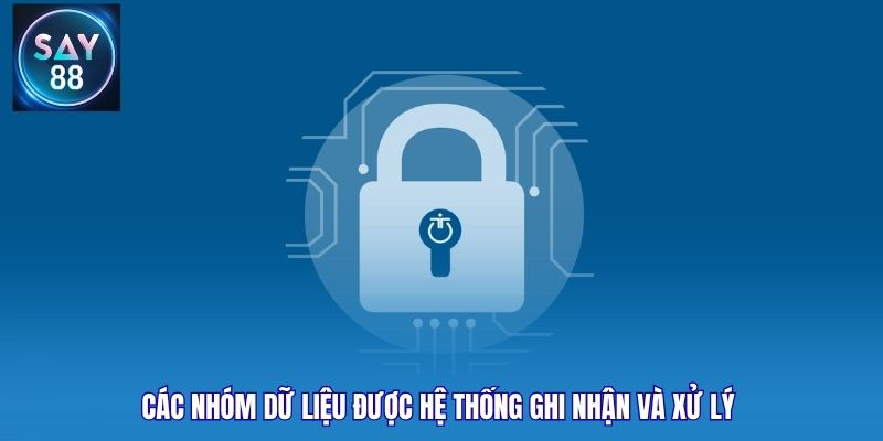 Các nhóm dữ liệu được hệ thống ghi nhận và xử lý
