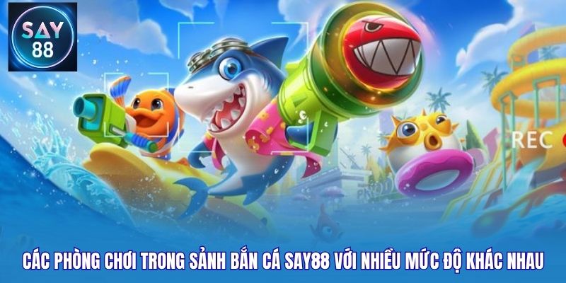Các phòng chơi trong sảnh bắn cá Say88 với nhiều mức độ khác nhau