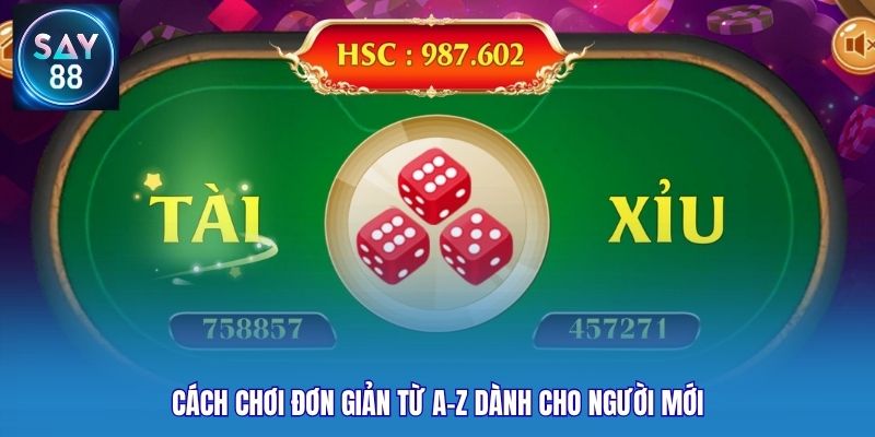 Cách chơi đơn giản từ A-Z dành cho người mới