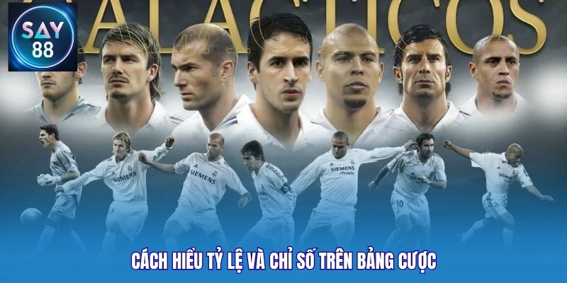 Cách hiểu tỷ lệ và chỉ số trên bảng cược