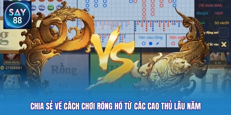 Chia sẻ về cách chơi Rồng Hổ từ các cao thủ lâu năm