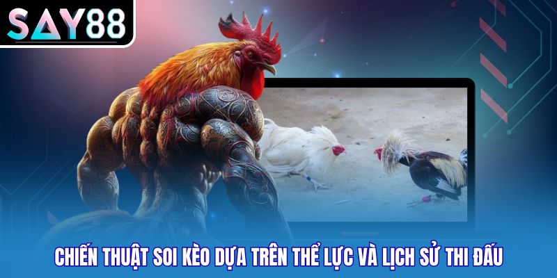 Chiến thuật soi kèo dựa trên thể lực và lịch sử thi đấu
