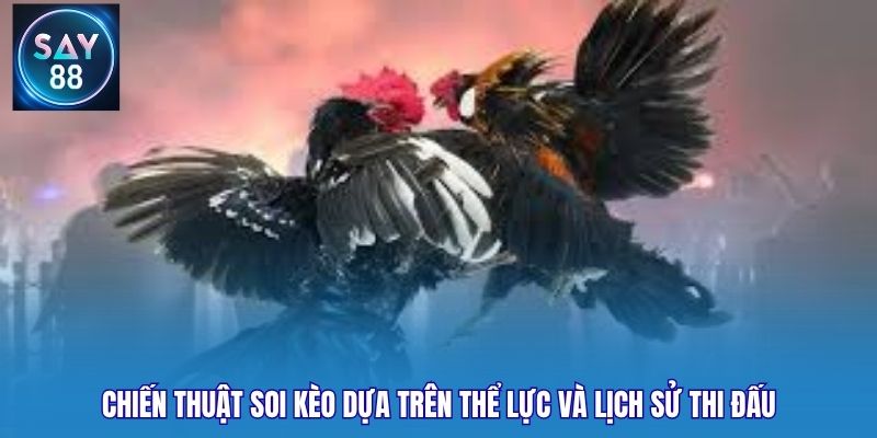 Chiến thuật soi kèo dựa trên thể lực và lịch sử thi đấu