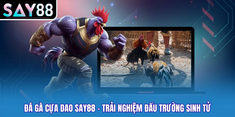 Đá Gà Cựa Dao Say88 - Trải Nghiệm Đấu Trường Sinh Tử