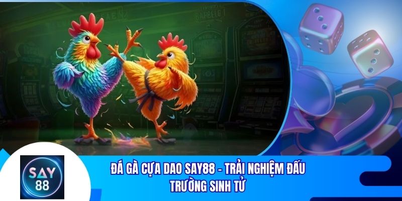 Đá Gà Cựa Dao Say88 - Trải Nghiệm Đấu Trường Sinh Tử
