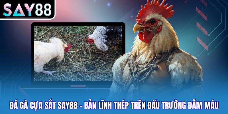 Đá Gà Cựa Sắt Say88 - Bản Lĩnh Thép Trên Đấu Trường Đẫm Máu