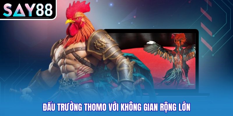 Đấu trường thomo với không gian rộng lớn