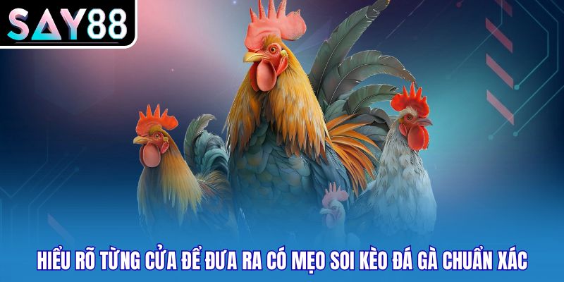 Hiểu rõ từng cửa để đưa ra có mẹo soi kèo đá gà chuẩn xác