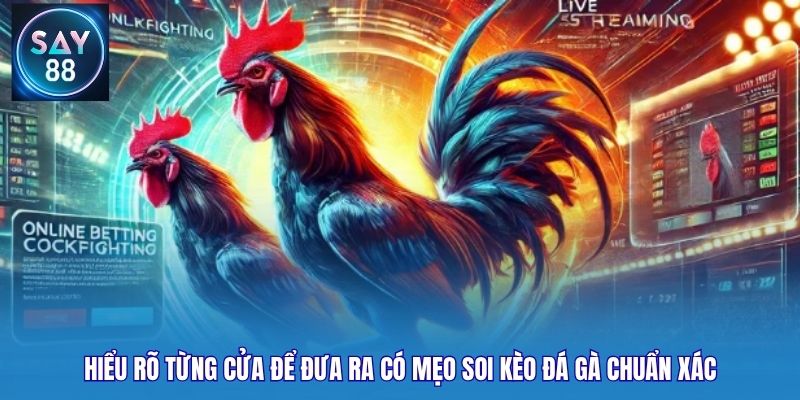 Hiểu rõ từng cửa để đưa ra có mẹo soi kèo đá gà chuẩn xác