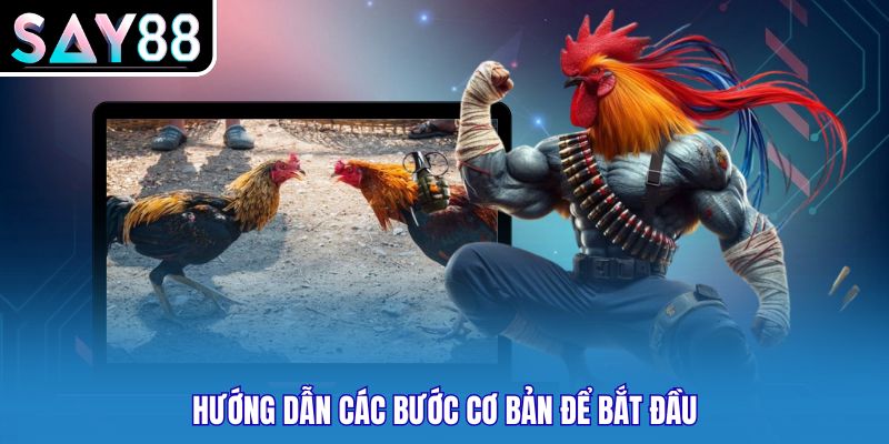 Hướng dẫn các bước cơ bản để bắt đầu