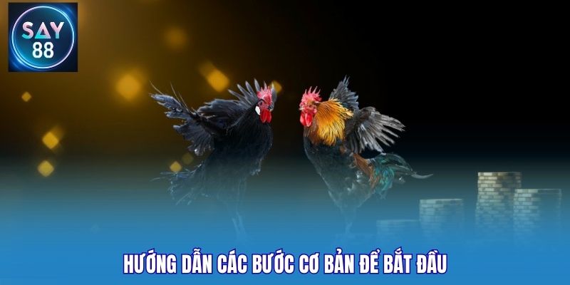 Hướng dẫn các bước cơ bản để bắt đầu
