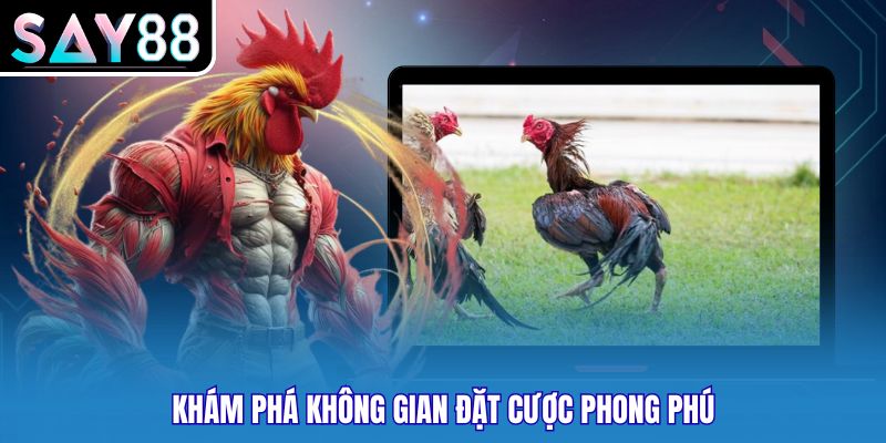 Khám phá không gian đặt cược phong phú