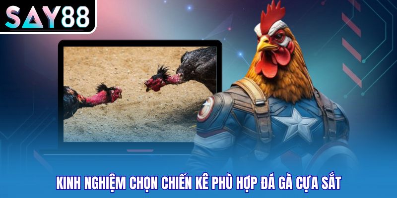 Kinh nghiệm chọn chiến kê phù hợp đá gà cựa sắt