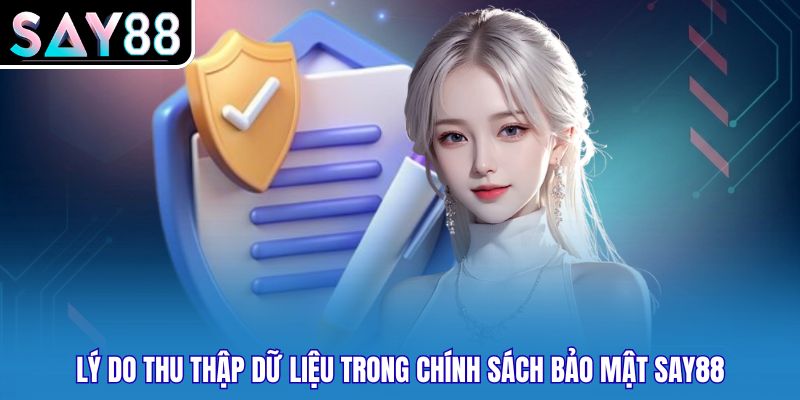 Lý do thu thập dữ liệu trong chính sách bảo mật Say88