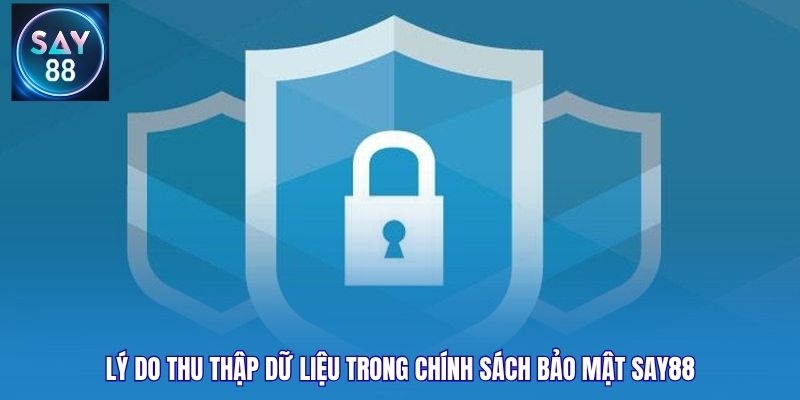Lý do thu thập dữ liệu trong chính sách bảo mật Say88