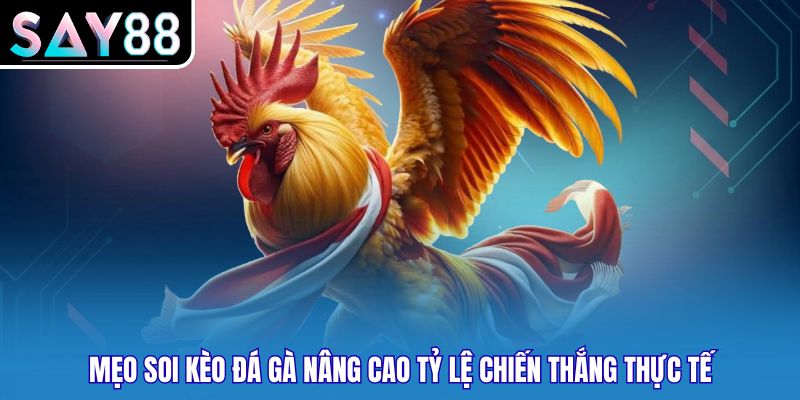 Mẹo soi kèo đá gà nâng cao tỷ lệ chiến thắng thực tế