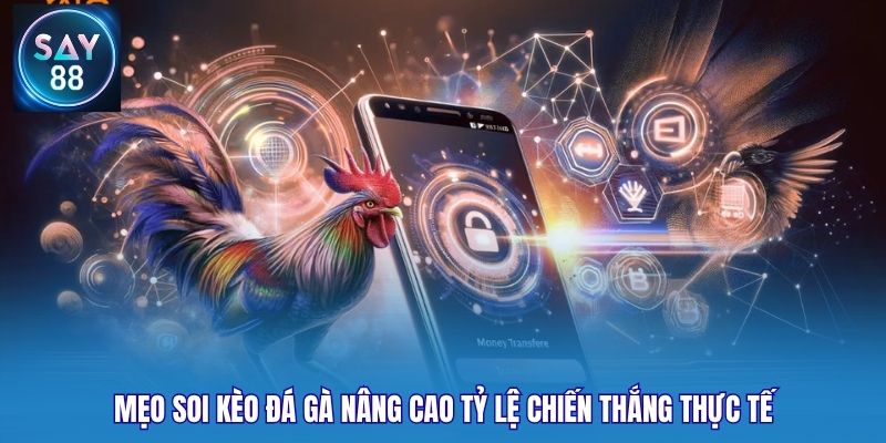 Mẹo soi kèo đá gà nâng cao tỷ lệ chiến thắng thực tế