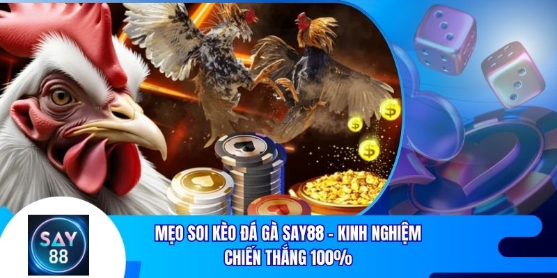 Mẹo Soi Kèo Đá Gà Say88 - Kinh Nghiệm Chiến Thắng 100%