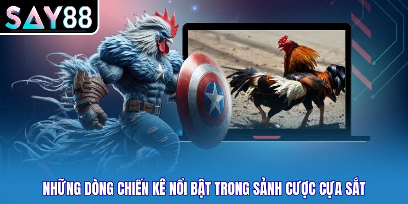 Những dòng chiến kê nổi bật trong sảnh cược cựa sắt