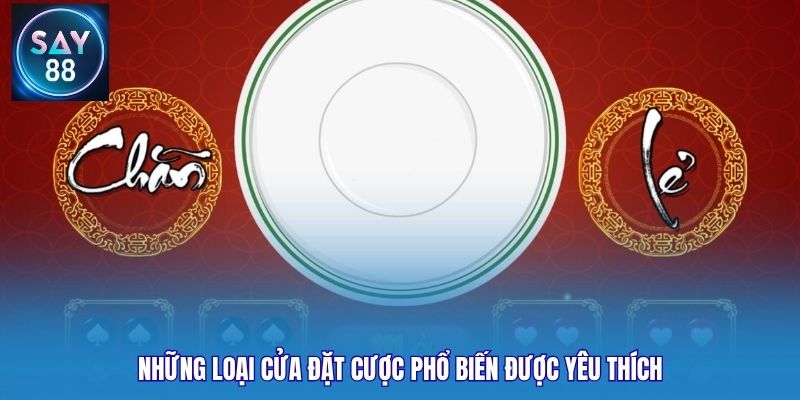 Những loại cửa đặt cược phổ biến được yêu thích