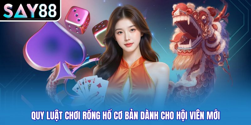 Quy luật chơi rồng hổ cơ bản dành cho hội viên mới