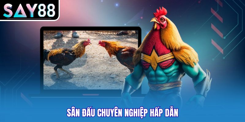 Sân đấu chuyên nghiệp hấp dẫn