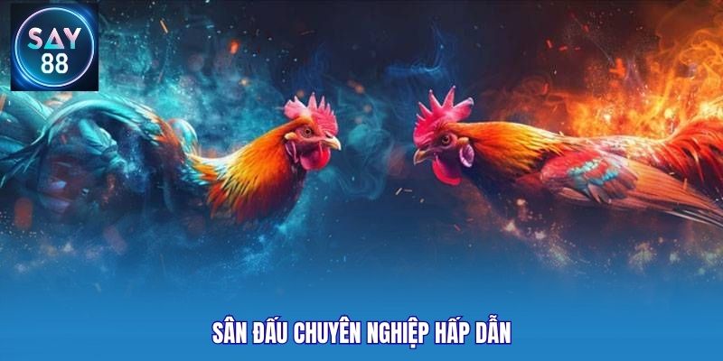 Sân đấu chuyên nghiệp hấp dẫn