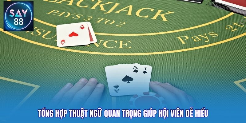 Tổng hợp thuật ngữ quan trọng giúp hội viên dễ hiểu