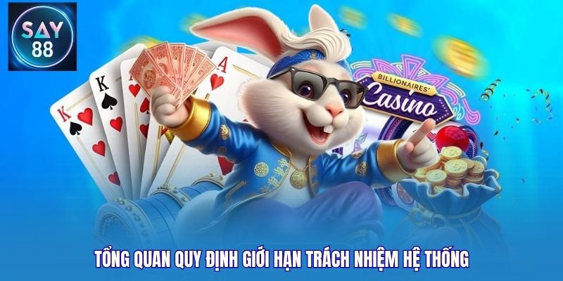 Tổng quan quy định giới hạn trách nhiệm hệ thống